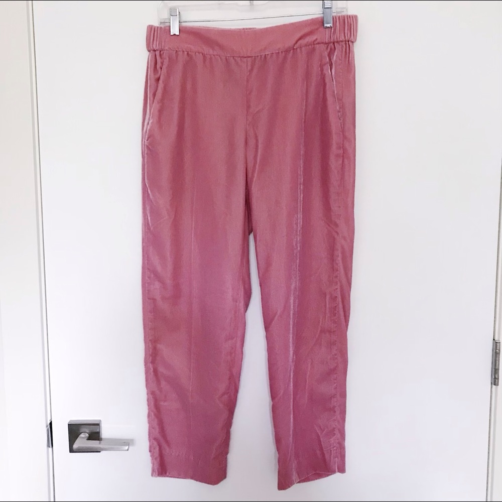 J. Crew Velour Pants